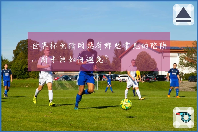 世界杯竞猜网站有哪些常见的陷阱，新手该如何避免？