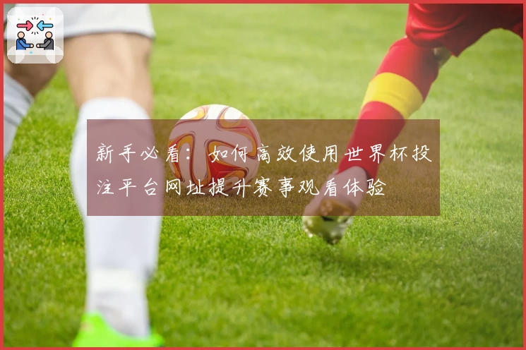 新手必看：如何高效使用世界杯投注平台网址提升赛事观看体验