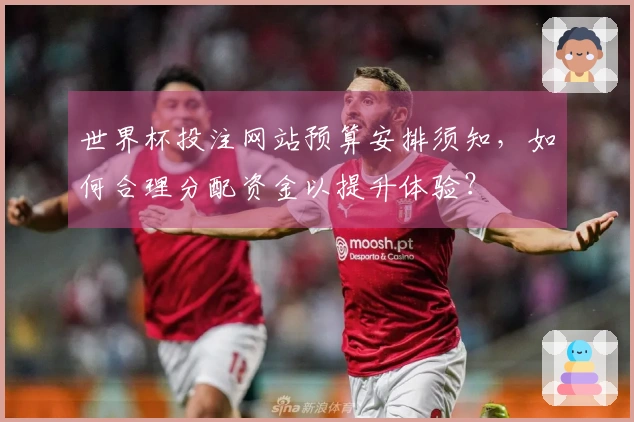 世界杯投注网站预算安排须知，如何合理分配资金以提升体验？