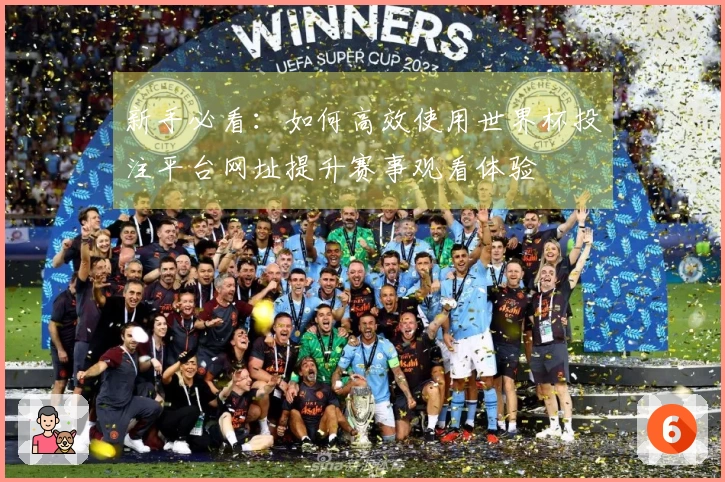 新手必看：如何高效使用世界杯投注平台网址提升赛事观看体验
