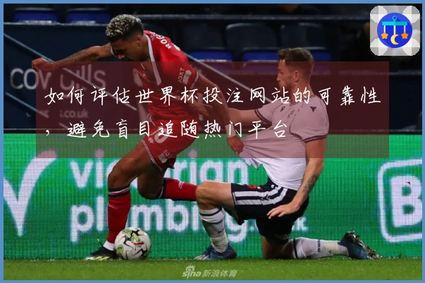 如何评估世界杯投注网站的可靠性,避免盲目追随热门平台