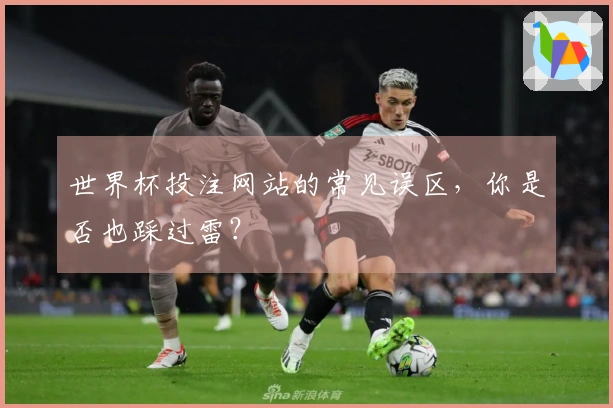 世界杯投注网站的常见误区,你是否也踩过雷?