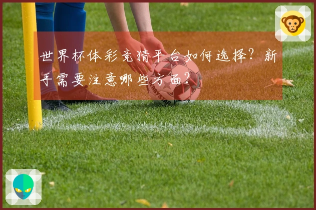 世界杯体彩竞猜平台如何选择？新手需要注意哪些方面？