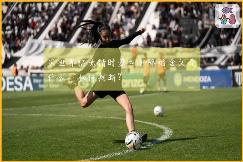 买世界杯竞猜时盘口升降的含义是什么，如何判断？