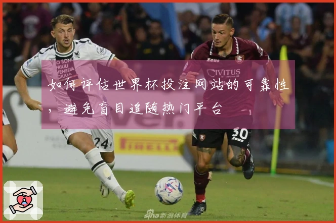 如何评估世界杯投注网站的可靠性，避免盲目追随热门平台