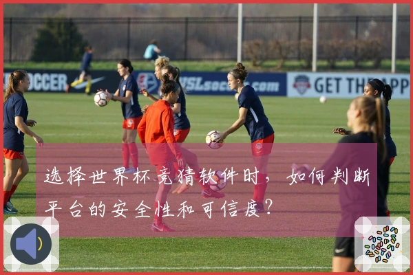 选择世界杯竞猜软件时，如何判断平台的安全性和可信度？