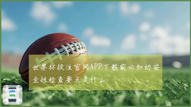 世界杯投注官网APP下载前必知的安全性检查要点是什么