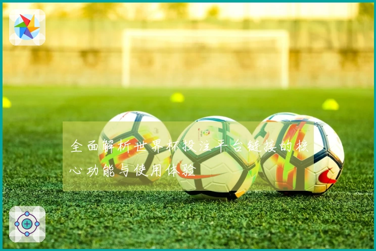 全面解析世界杯投注平台链接的核心功能与使用体验