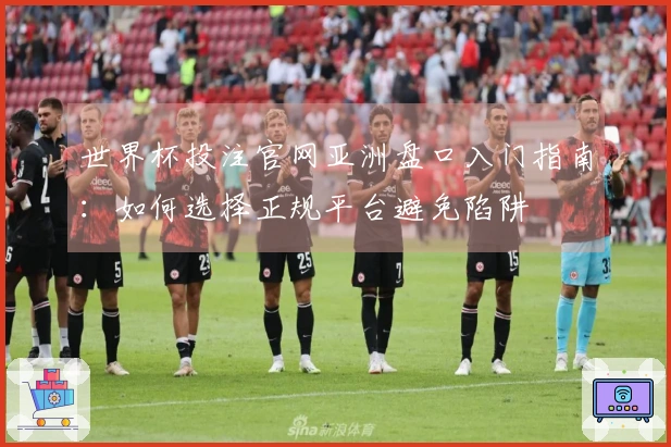 世界杯投注官网亚洲盘口入门指南：如何选择正规平台避免陷阱