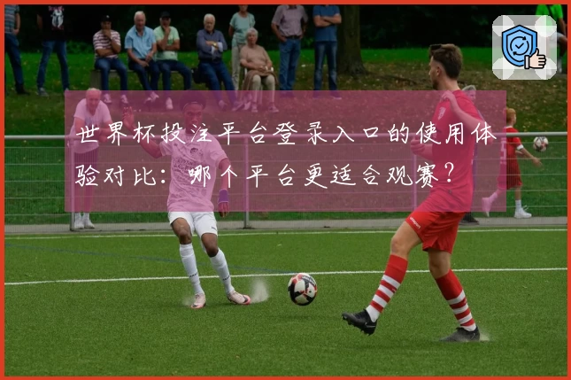世界杯投注平台登录入口的使用体验对比：哪个平台更适合观赛？